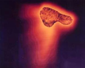 Изображение ядра кометы Галлея