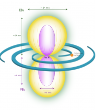 Иллюстрация возможного положения «пузырей еРОЗИТА» (EB, eROSITA bubbles, желтый цвет) и «пузырей Ферми» (FB, Fermi bubbles, розовый цвет) относительно Галактики и Солнечной системы. Изображение из статьи P. Predehl, R.A. Sunyaev, et al.