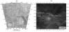 Слева: положение области Имд на Венере. Слева: радиолокационное изображение горы Идунн. Изображение из статьи D’Incecco et al., 2021