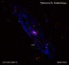 Карта Туманности Андромеды SRG/eROSITA и GALEX